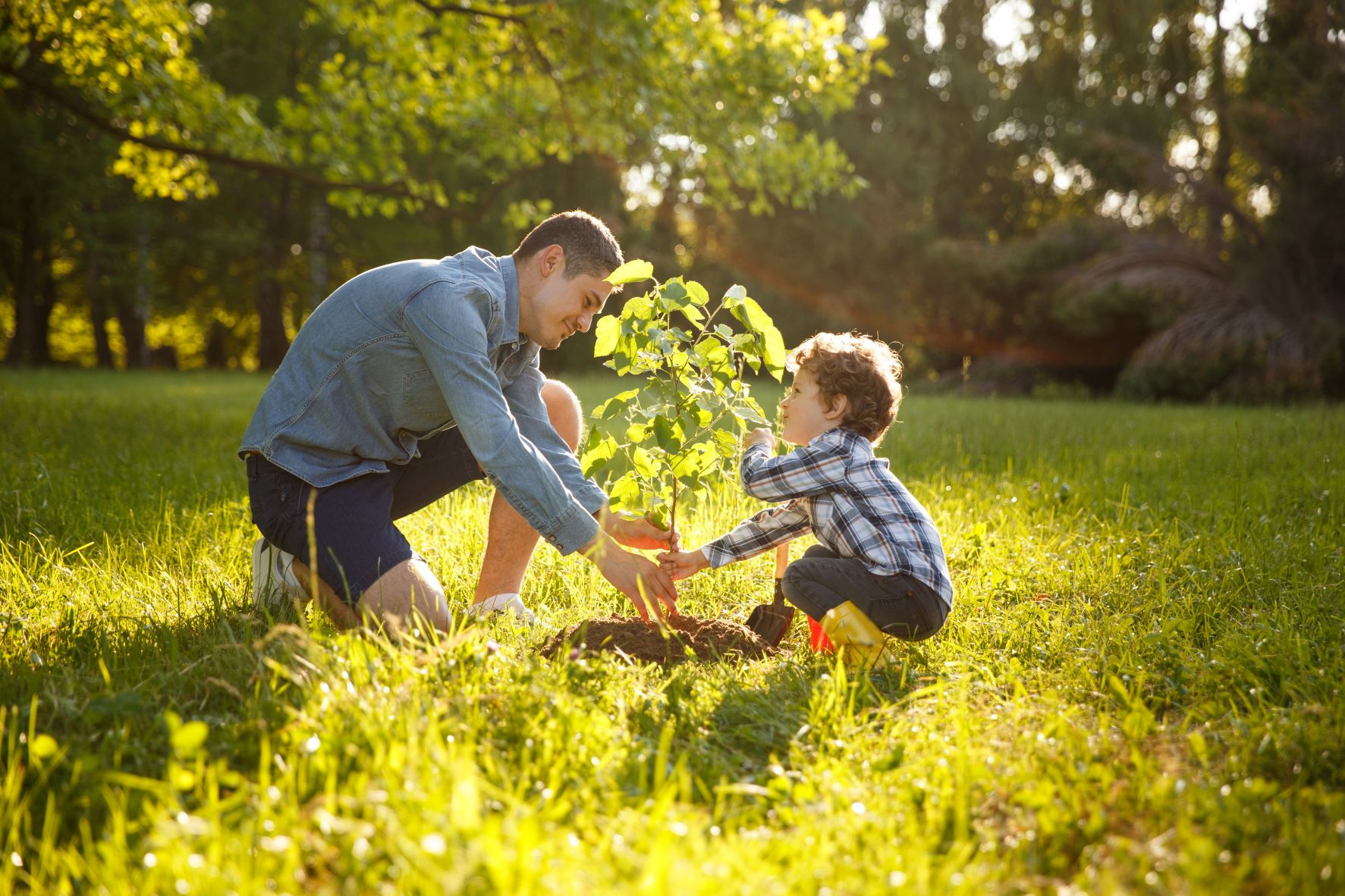 Plant Smart to Save Energy 