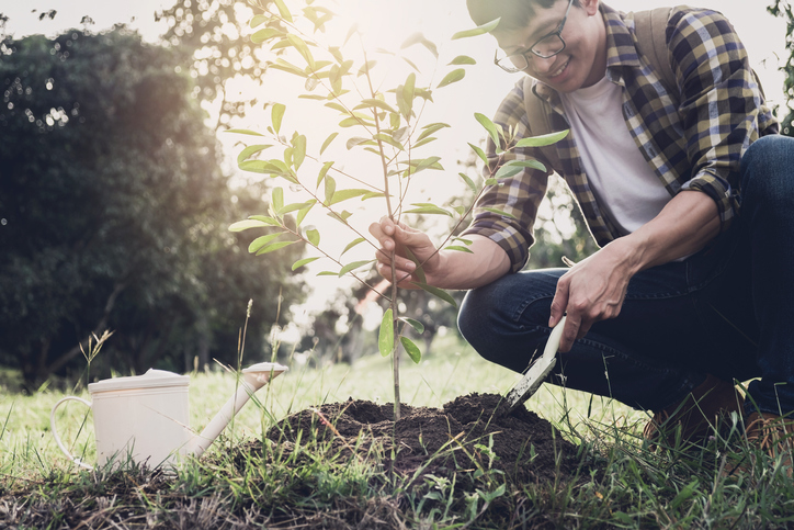 Plante de manera inteligente para ahorrar energía