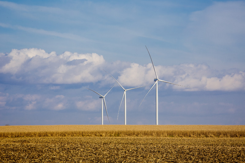 Tomando Acción sobre el Cambio Climático