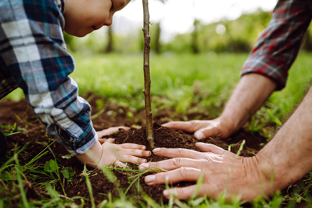 Plan Ahead for Spring Planting