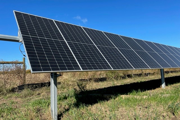 Cuide el medioambiente con el programa Energía Verde para el Mañana de MGE