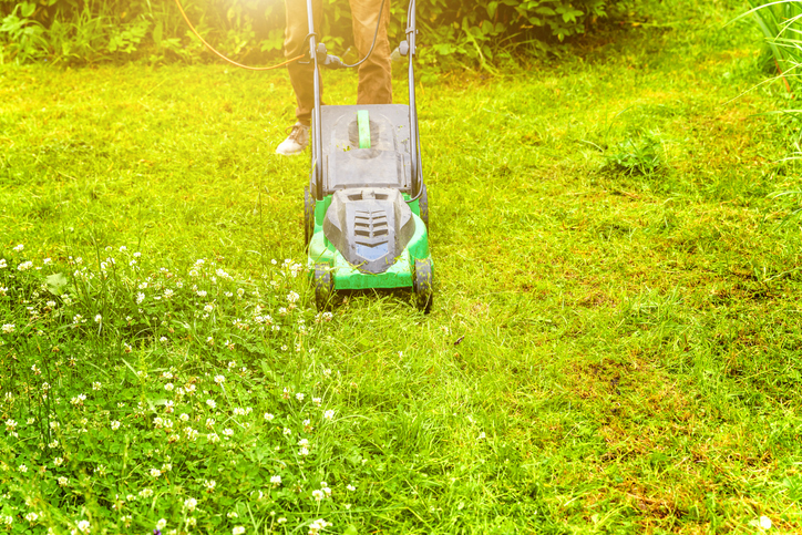 Electrify, Simplify Your Lawn Care Routine
