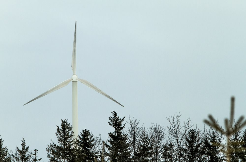 20 Years of Wind Energy